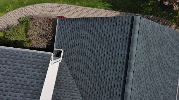 Best Sheet Metal Roofing  in Hugo, MN